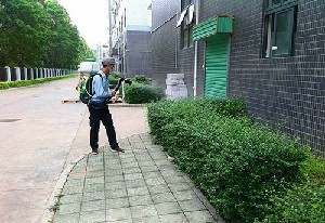 綠化養護的標準